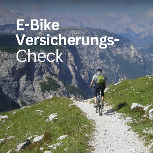 E-Bike Versicherungs-Check Postvorlage für Social Media
