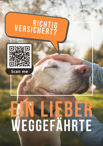 Hunde-Versicherungs-Analyse - Poster Din A1 für Kundenstopper oder Schaufenster 3 Stk.