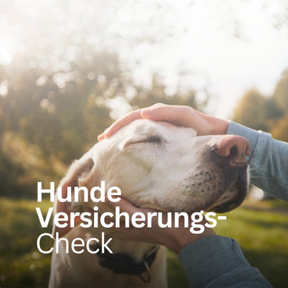 Hunde Versicherungs-Check - Postvorlage für Social Media