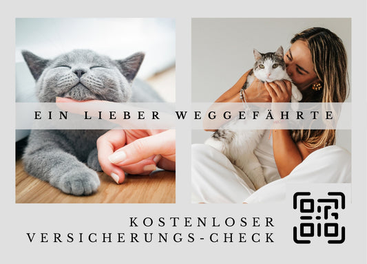Katzen Versicherungs-Check - Postkarten mit Deinem QR-Code & Deiner Adresse