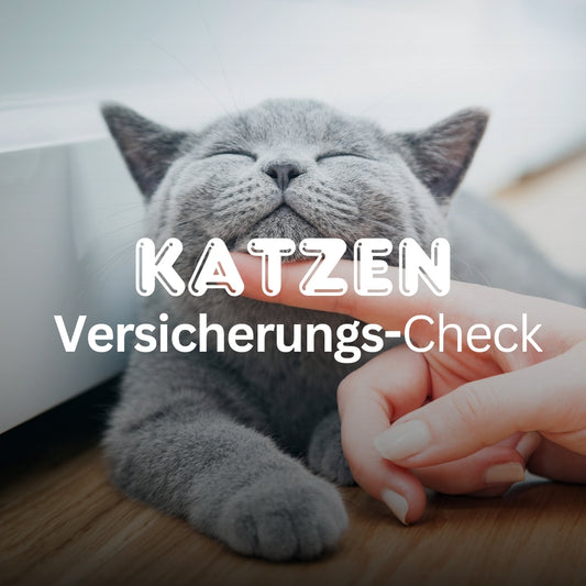 Katzen Versicherungs-Check, Postvorlage für Social Media