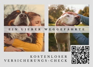 Hundeversicherungs-Postkarte mit Deinem QR-Code & Deiner Adresse | 250 Stk.