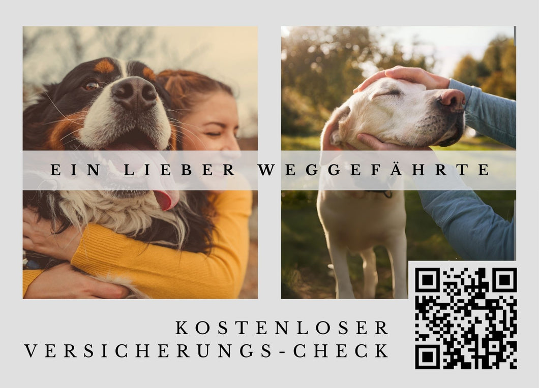 Hundeversicherungs-Postkarte mit Deinem QR-Code & Deiner Adresse | 250 Stk.