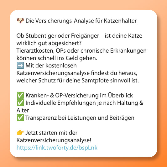 Katzen Versicherungs-Check, Postvorlage für Social Media