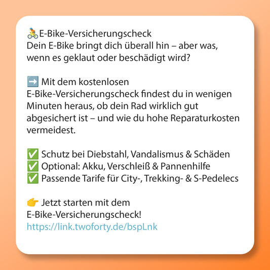 E-Bike Versicherungs-Check Postvorlage für Social Media